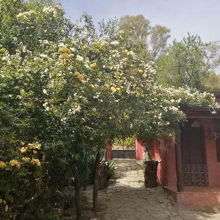 Eco Moyano Posada Gaucin Luaran gambar
