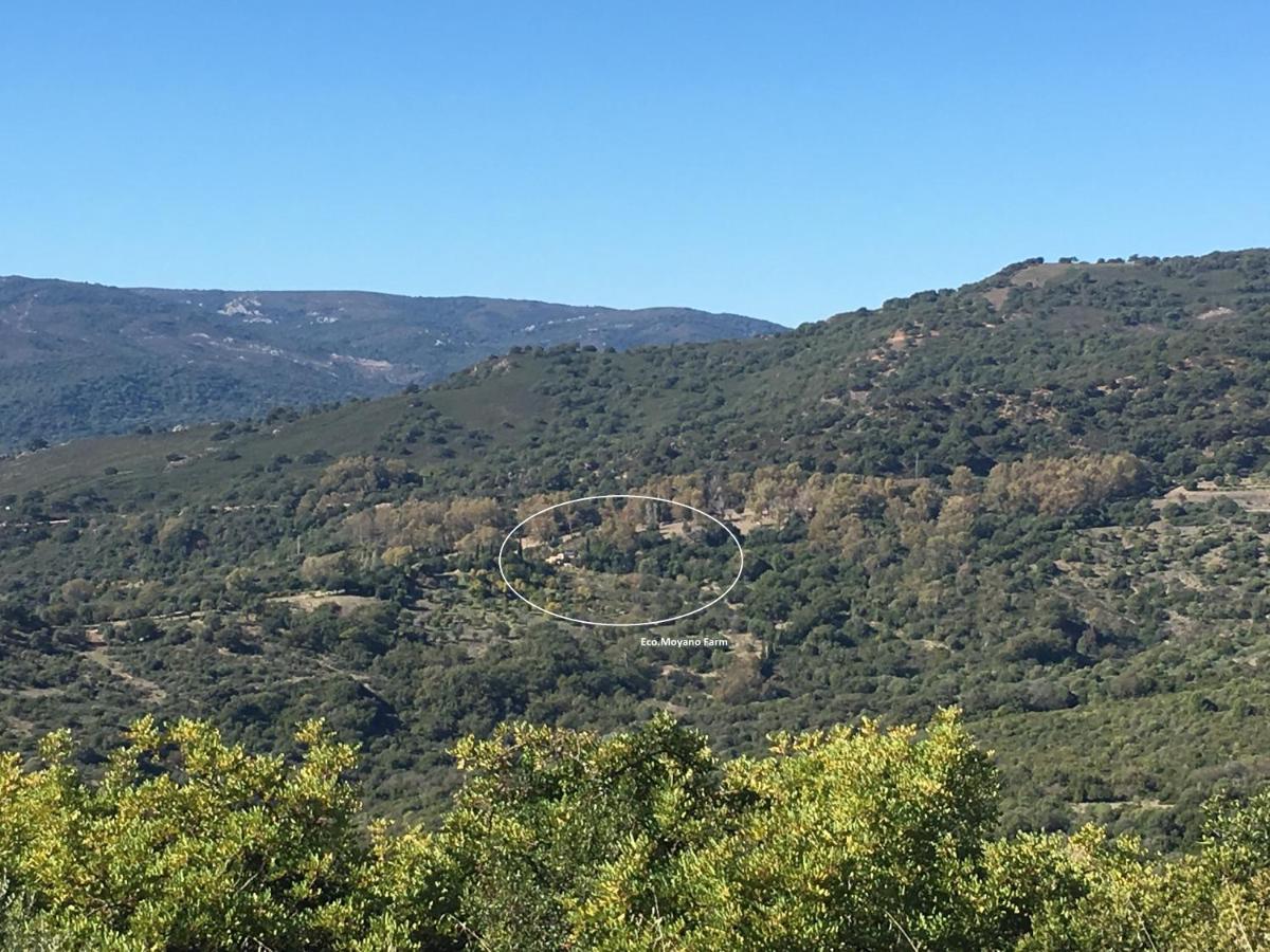Eco Moyano Posada Gaucin Luaran gambar