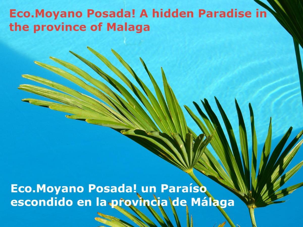 Eco Moyano Posada Gaucin Luaran gambar
