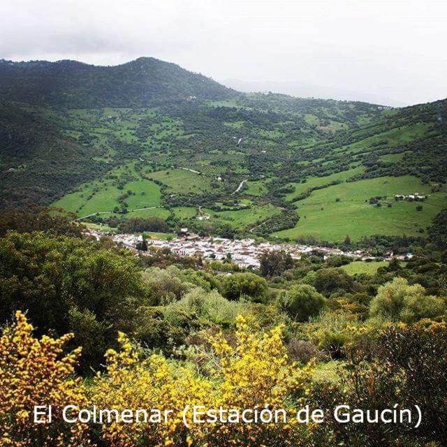 Eco Moyano Posada Gaucin Luaran gambar