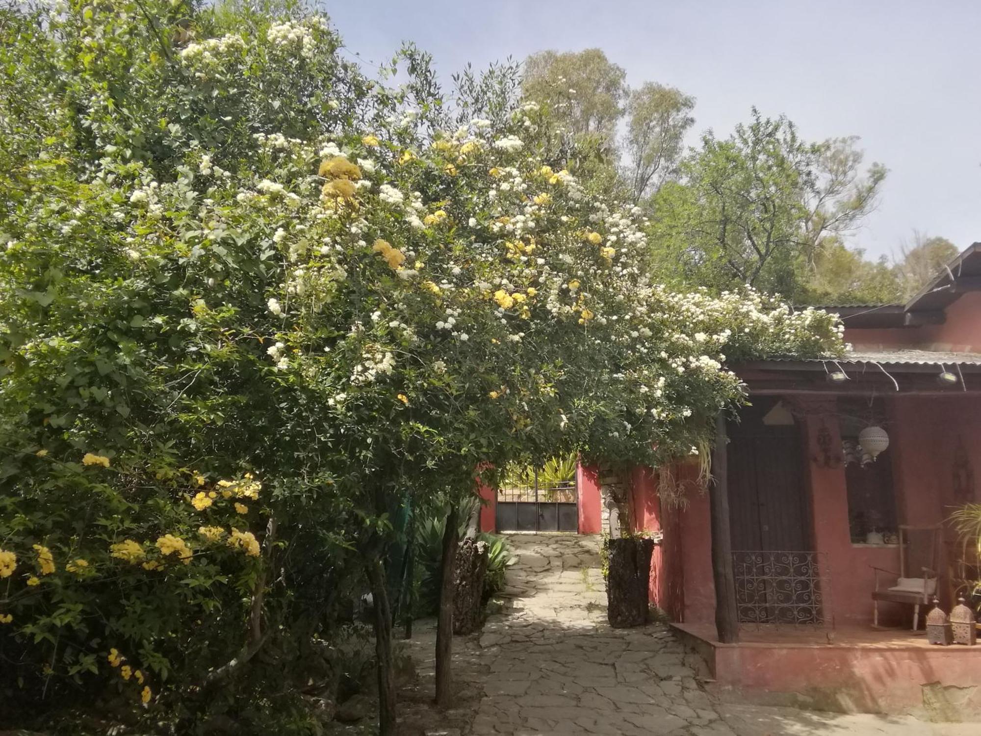 Eco Moyano Posada Gaucin Luaran gambar
