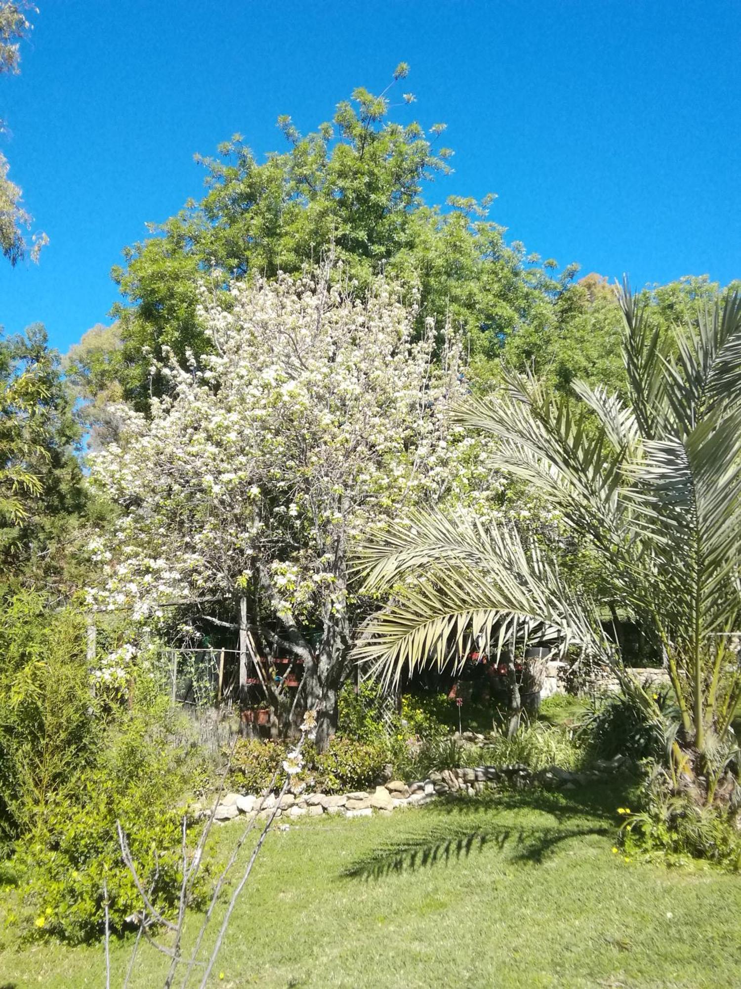 Eco Moyano Posada Gaucin Luaran gambar