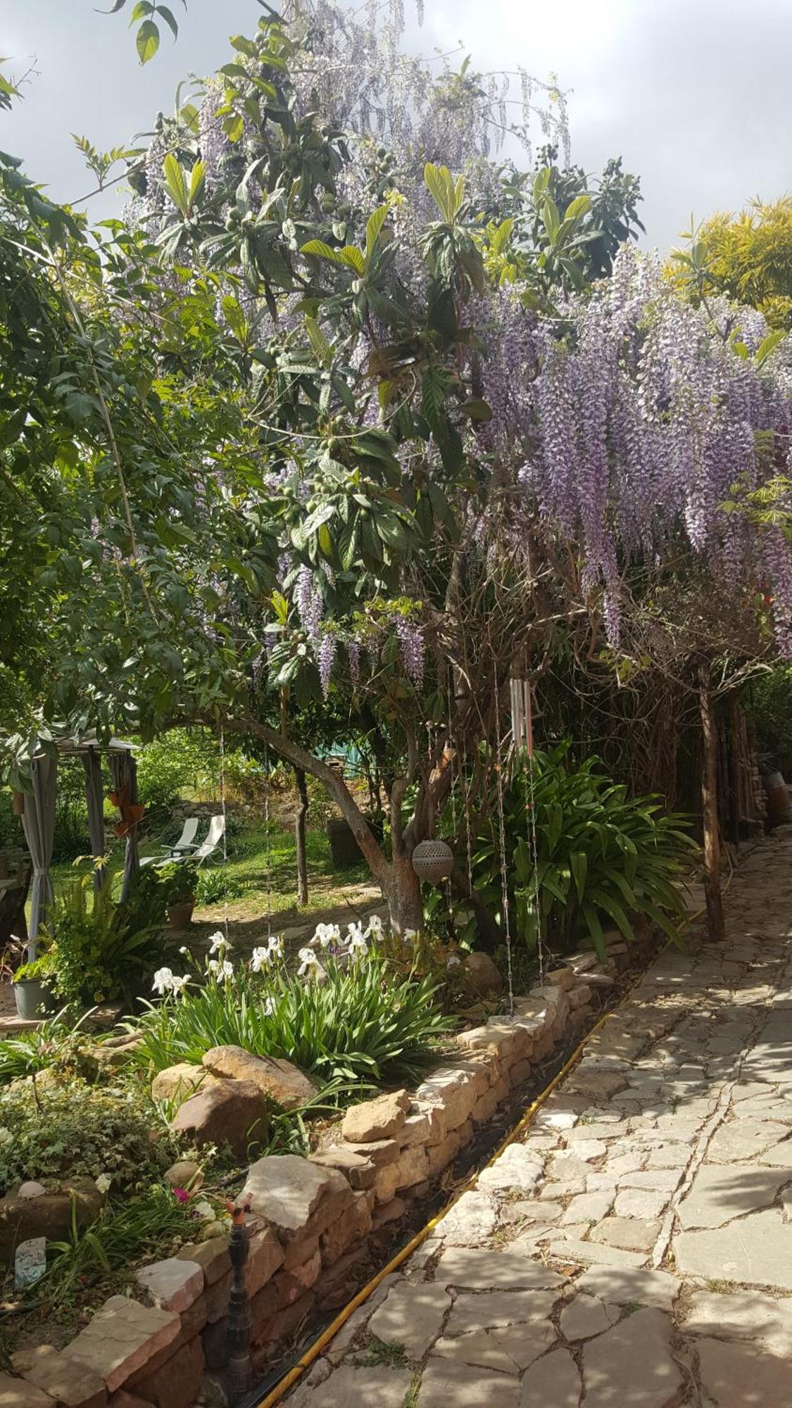 Eco Moyano Posada Gaucin Luaran gambar